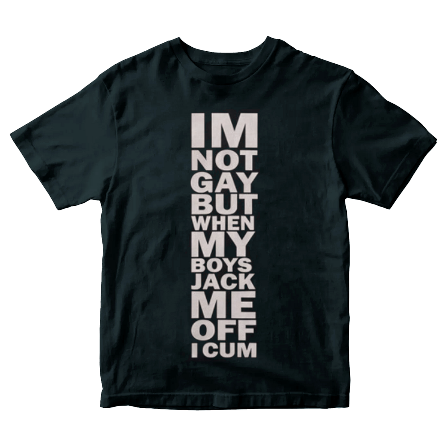IM NOT GAY TEE